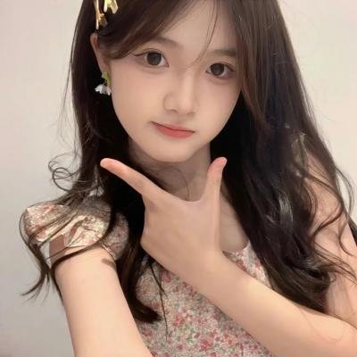 木材宝藏狗